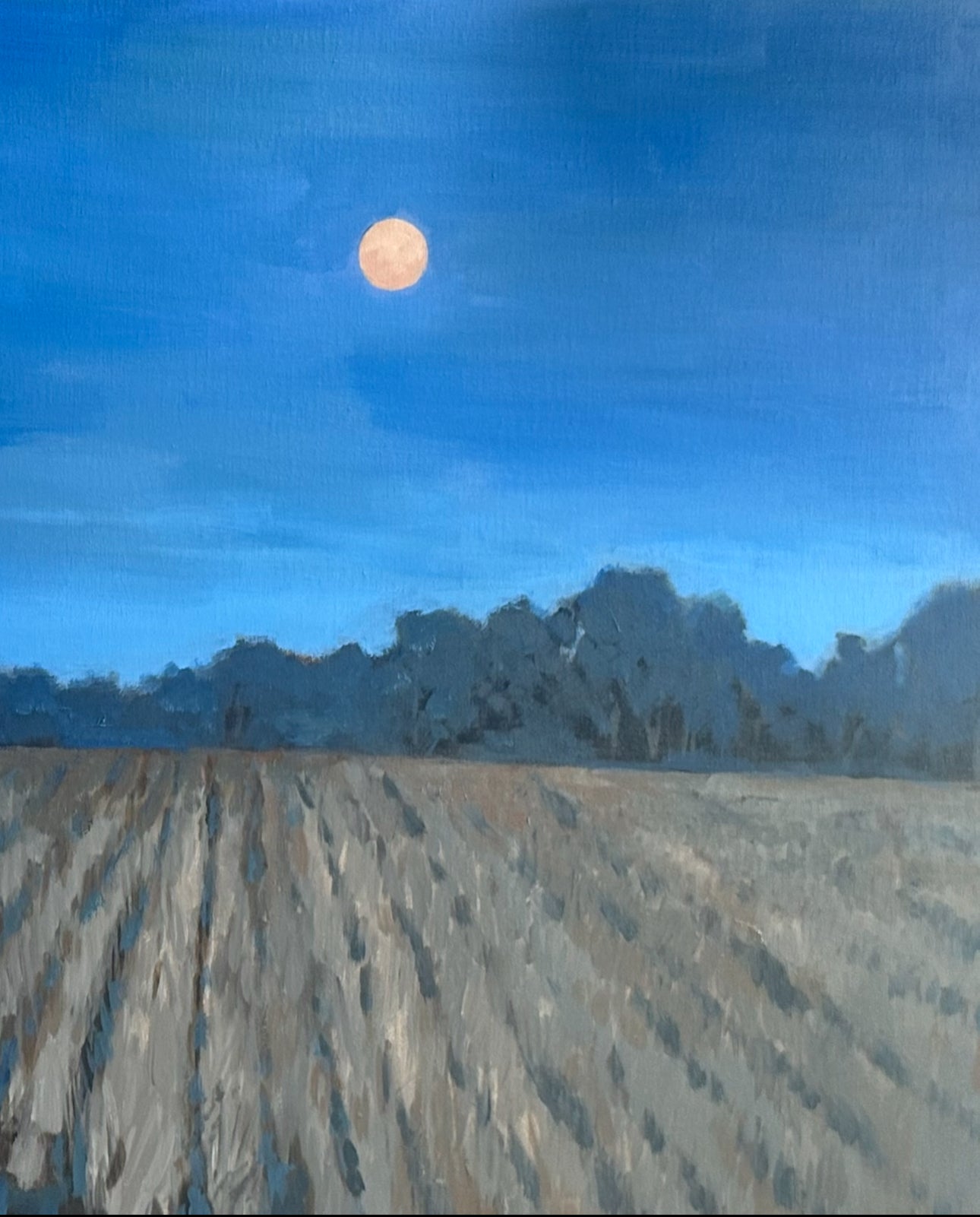 Moonlit Night