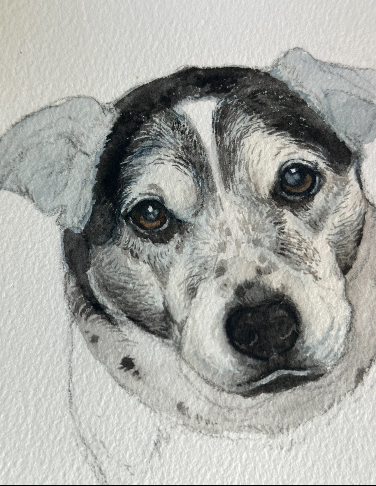 Watercolor Pet Portrait