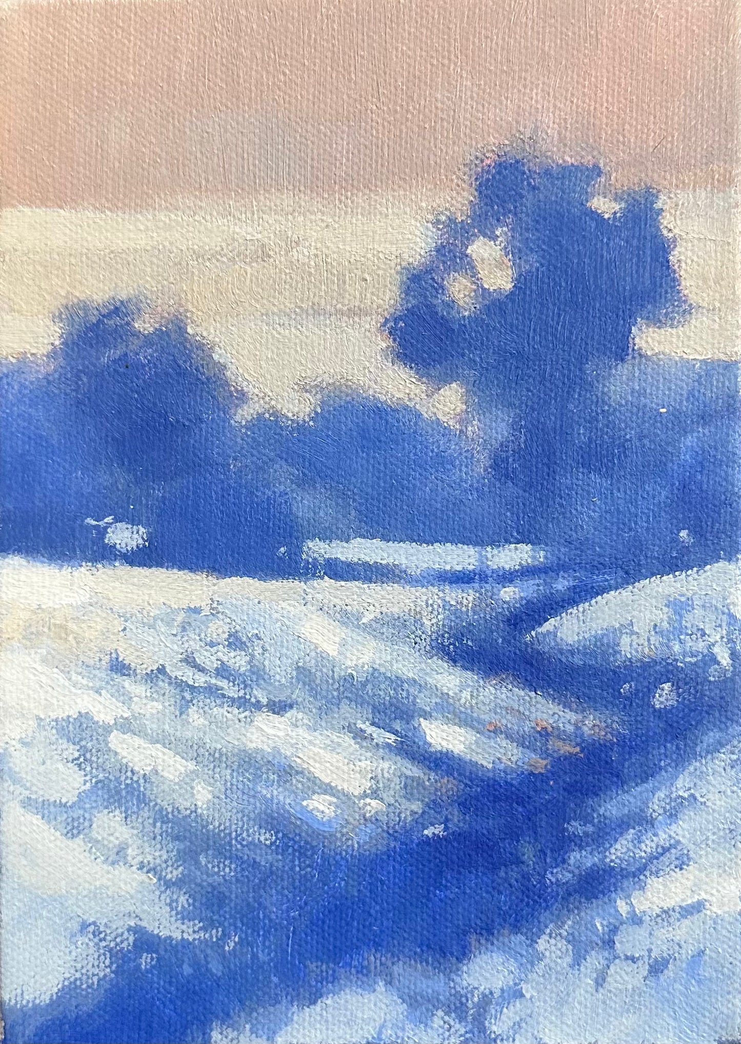snowy study