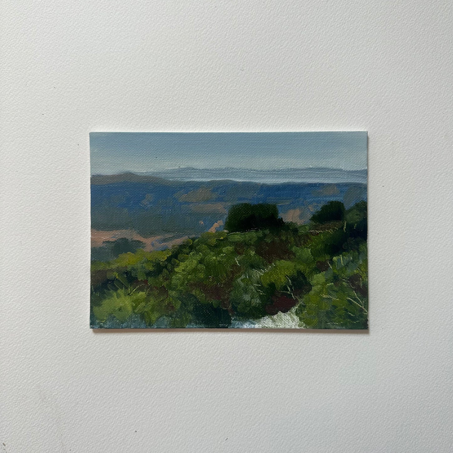 Mount Diablo Overlook Study
