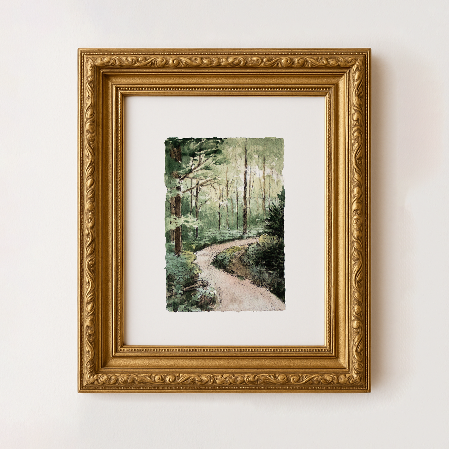 A Walk In The Woods
