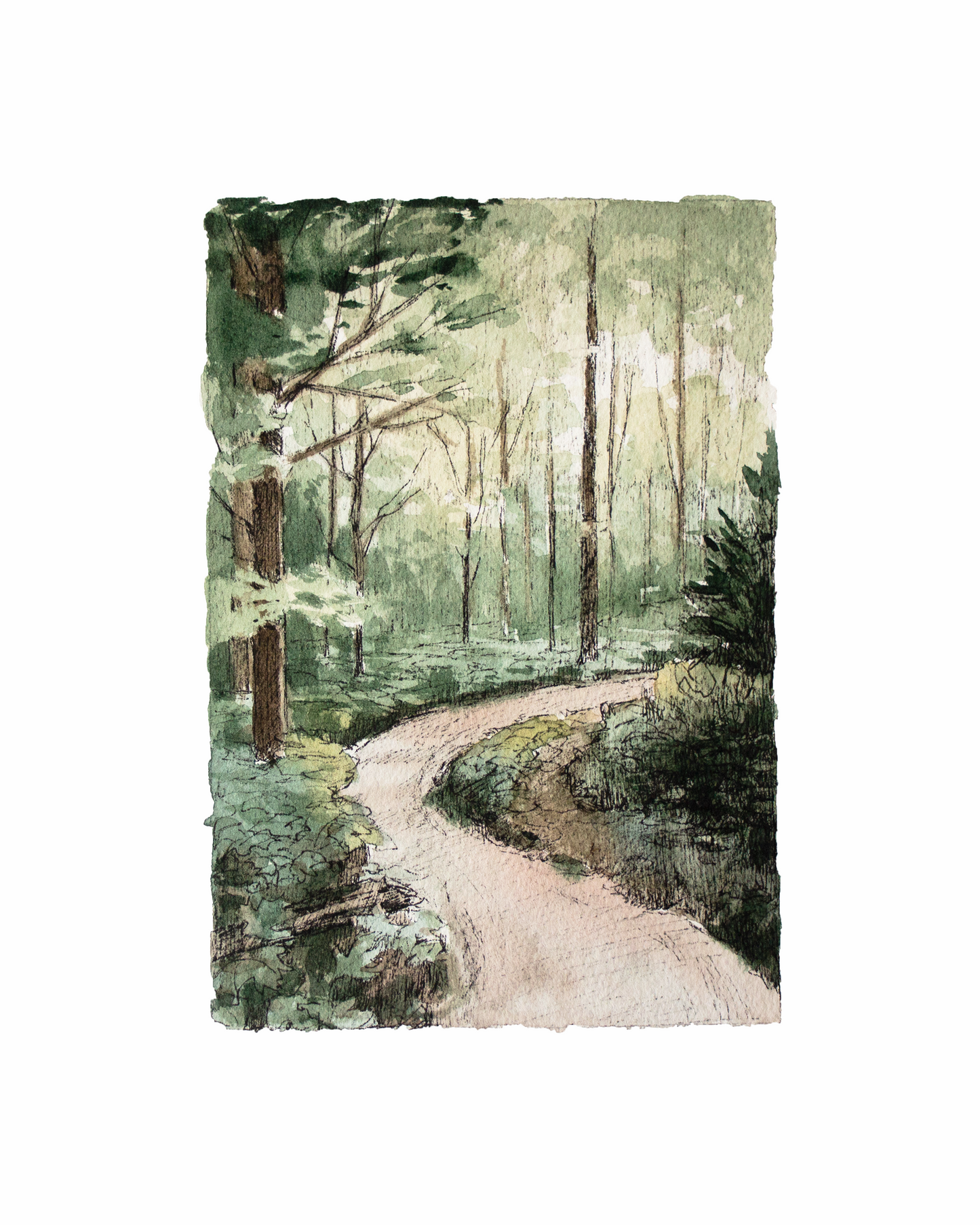 A Walk In The Woods