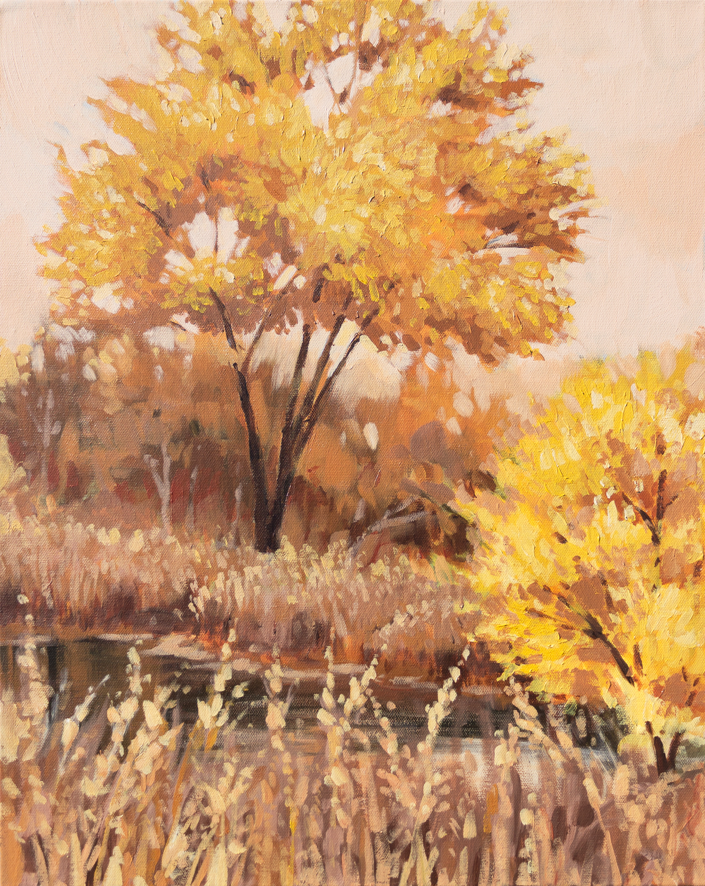 Gold Rush