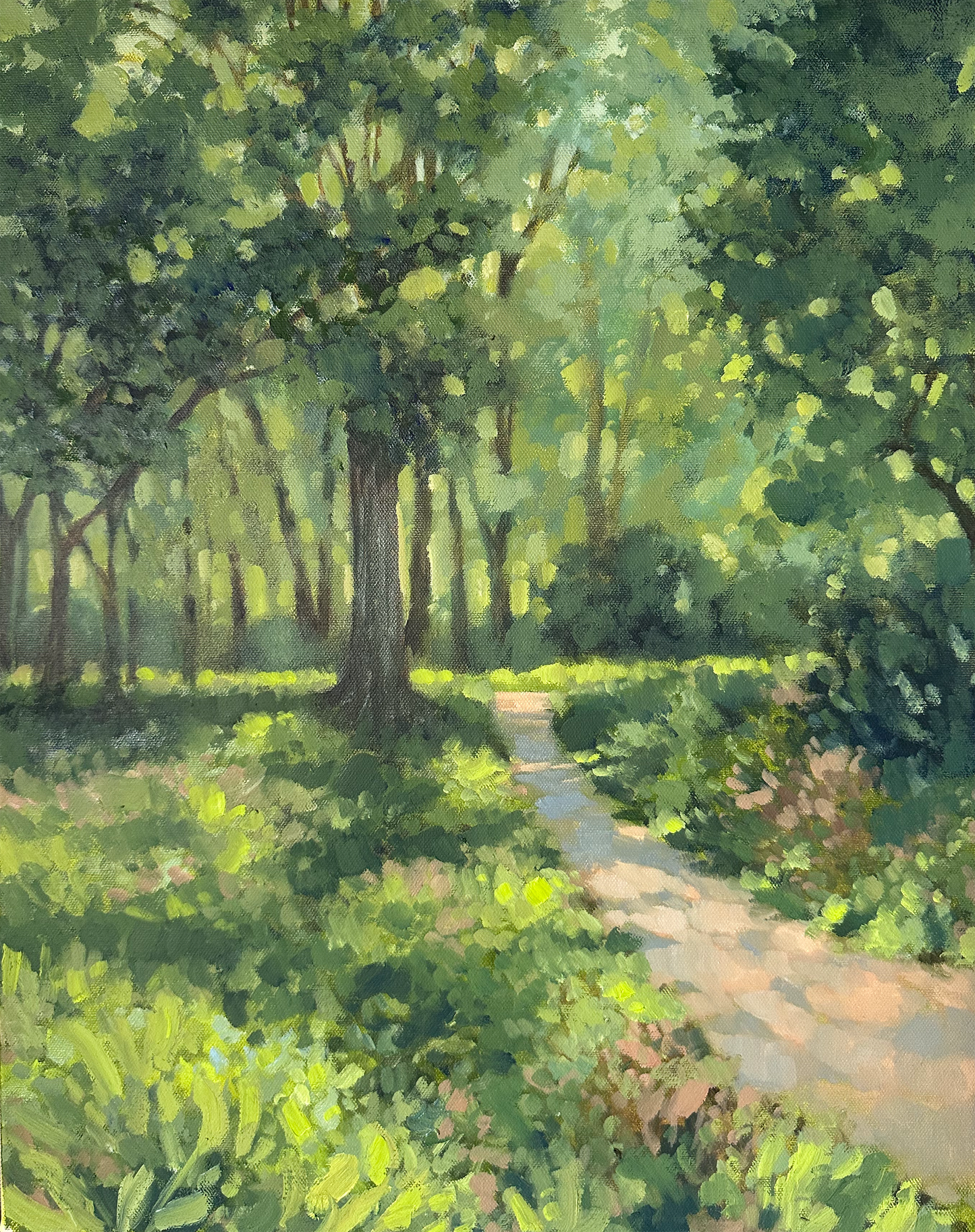 Sequoia Trail