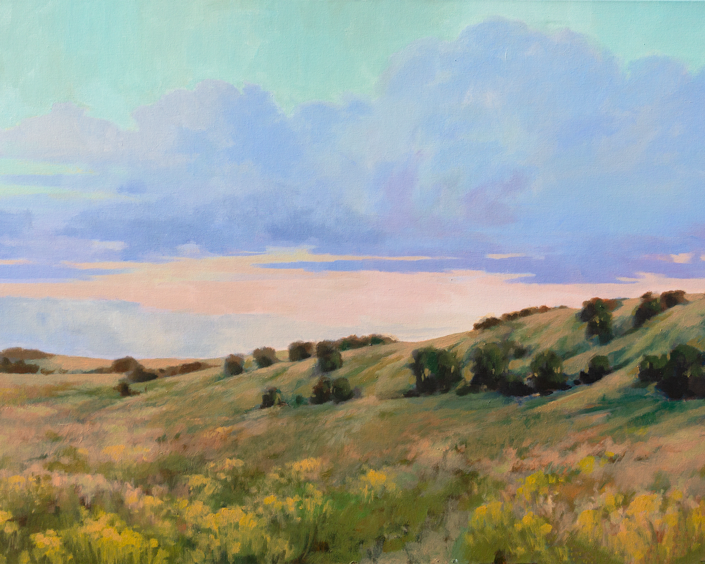 Wildflower Hills