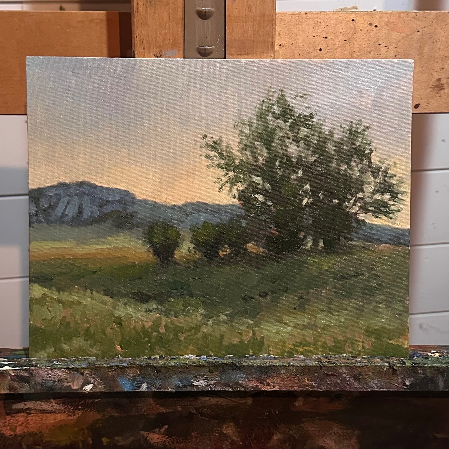 Ft Robinson Oil Study