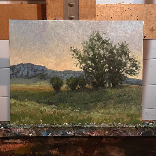 Ft Robinson Oil Study
