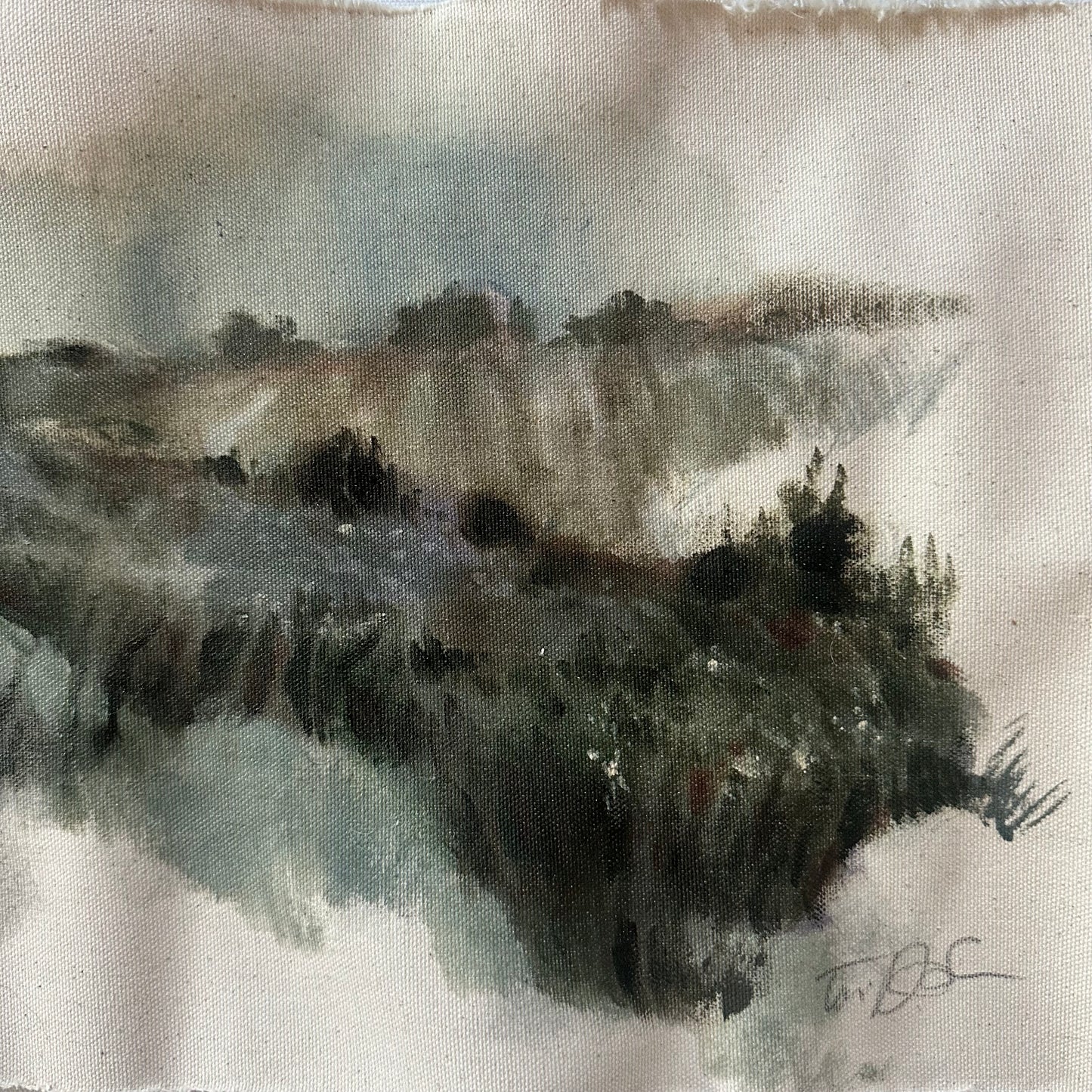 Landscape on Raw Canvas