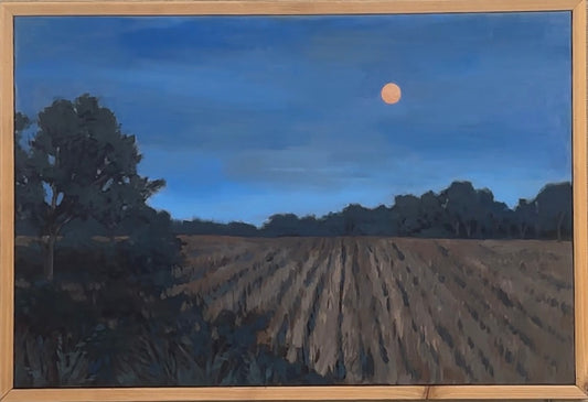 Moonlit Night
