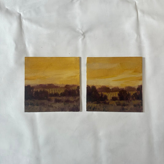 Studies in Gold + Purple