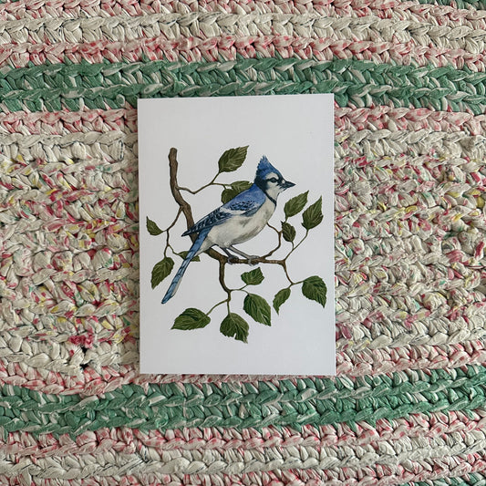Blue Jay Card