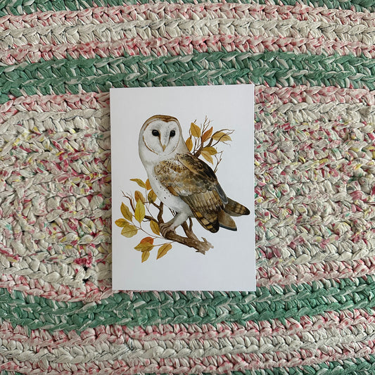Barn Owl Card