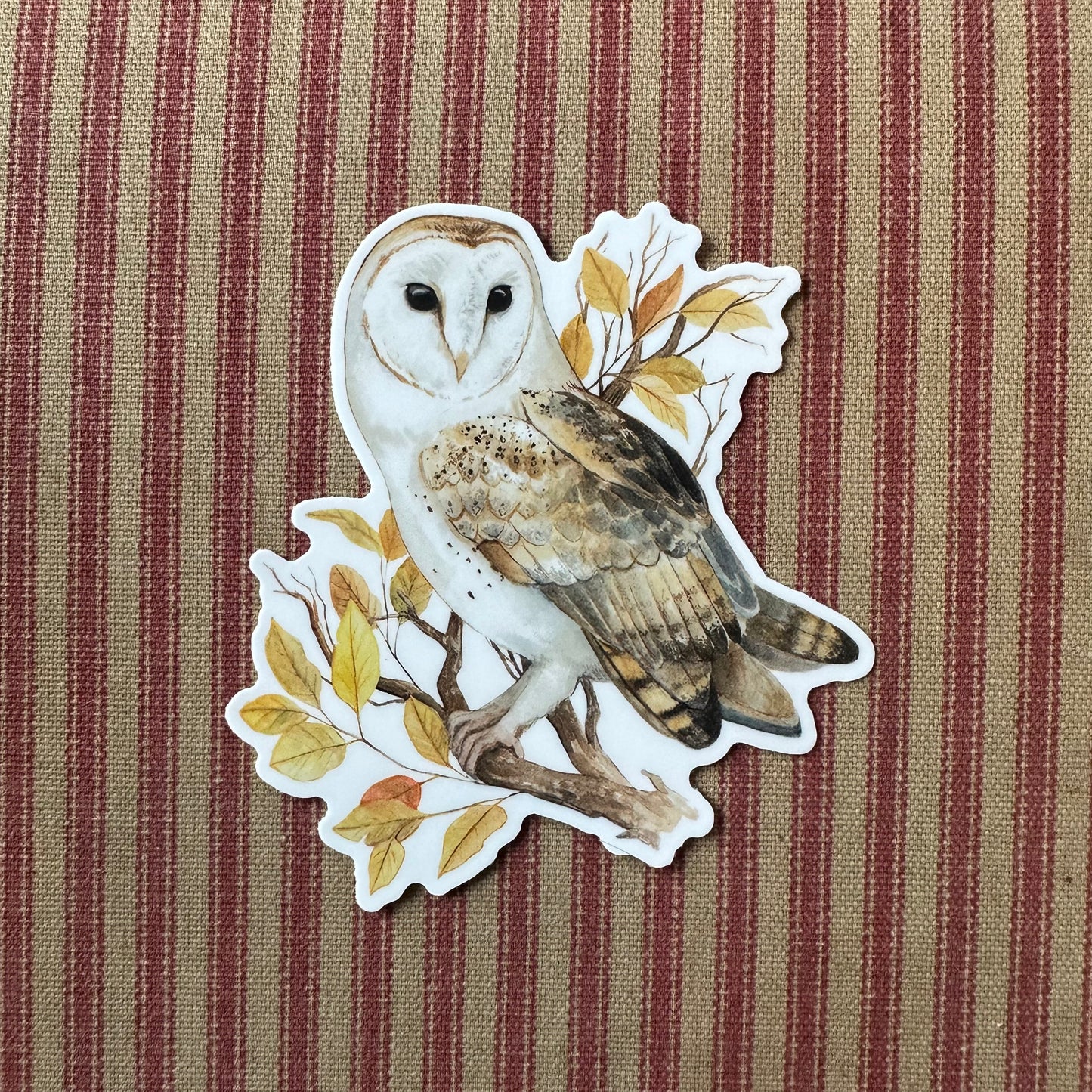 Barn Owl Sticker