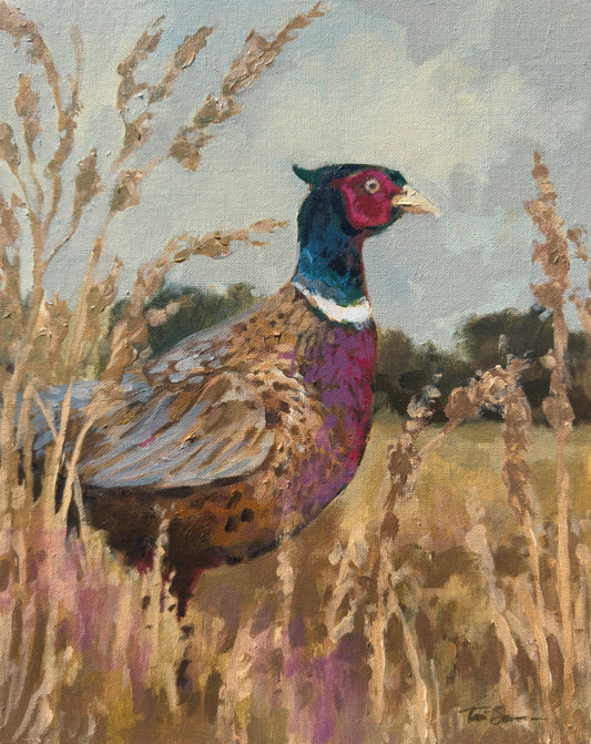 Pheasant