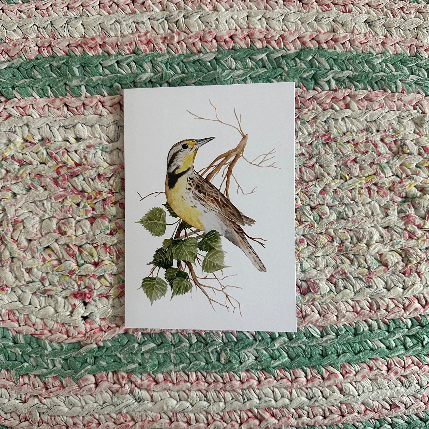 Meadowlark Card