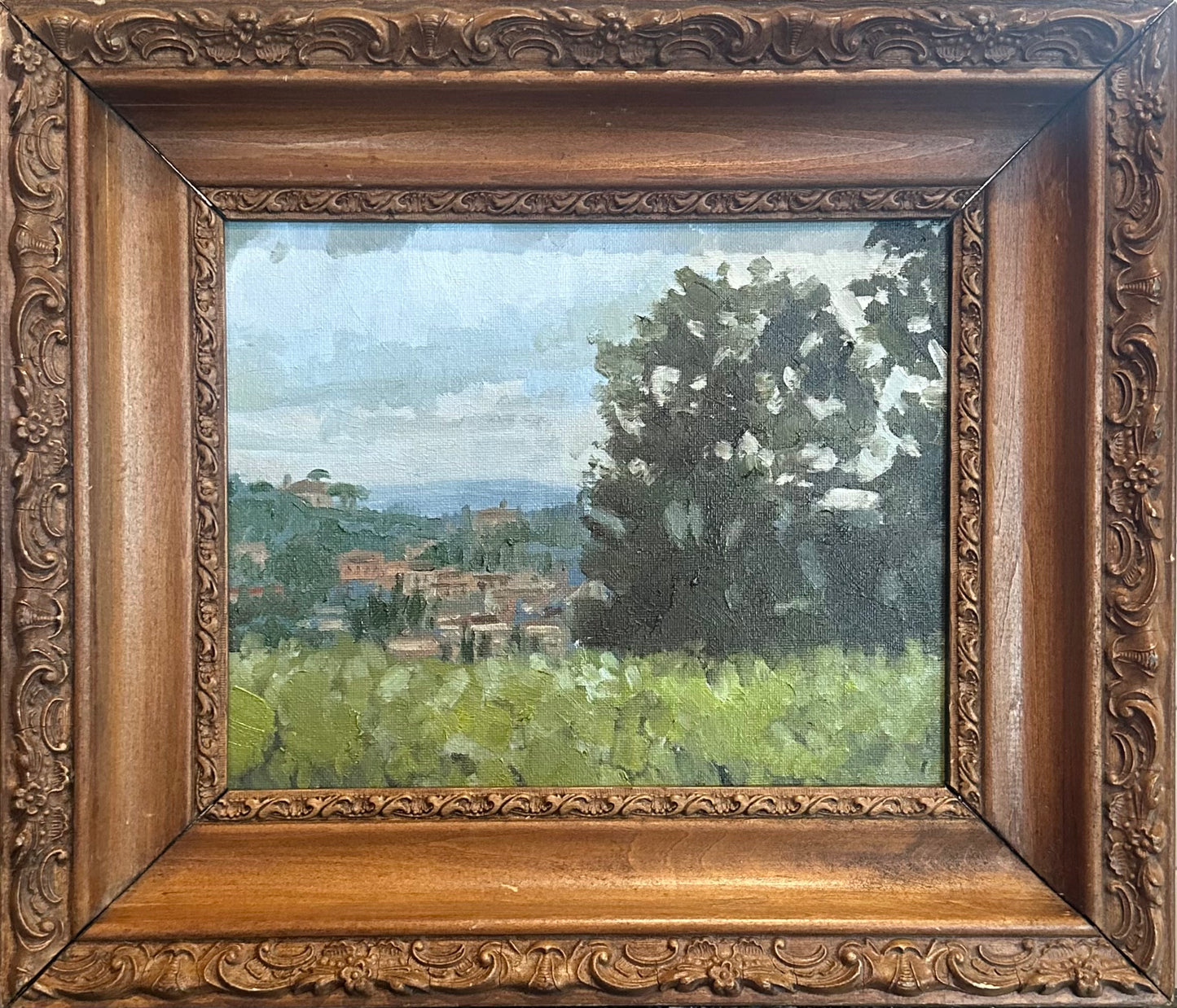 A view of Florence