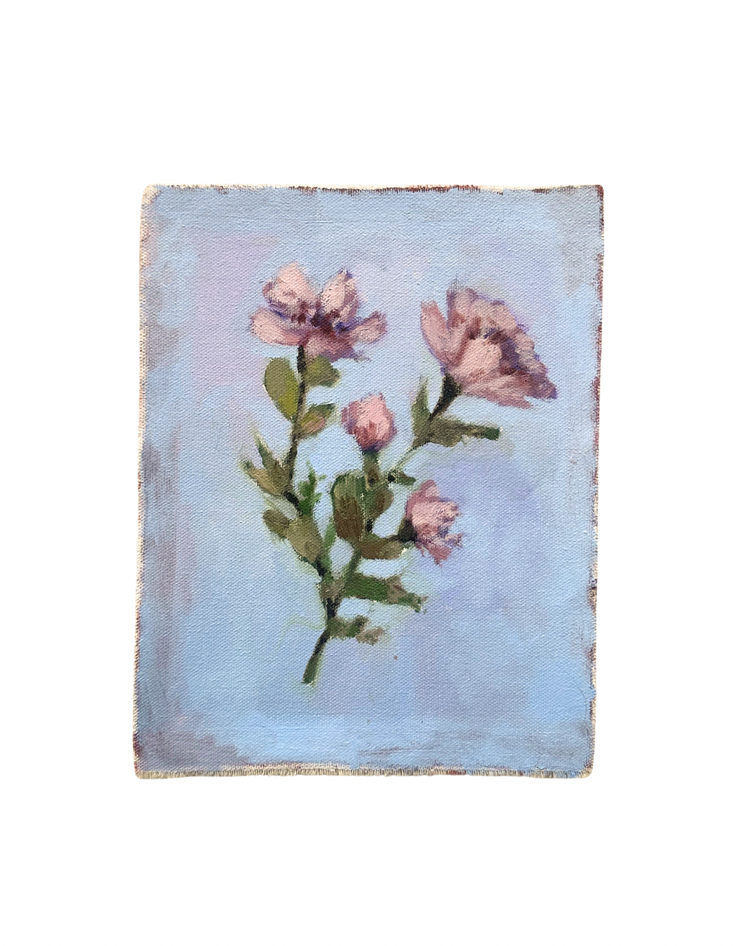Pink Florals - Oil Sketch