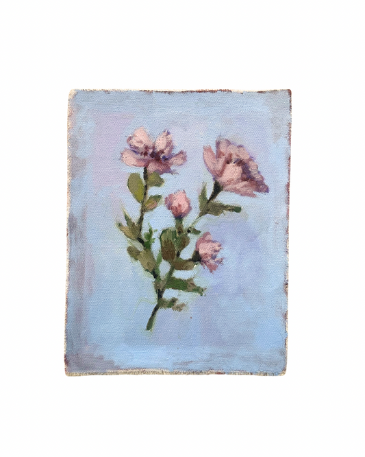 Pink Florals - Oil Sketch