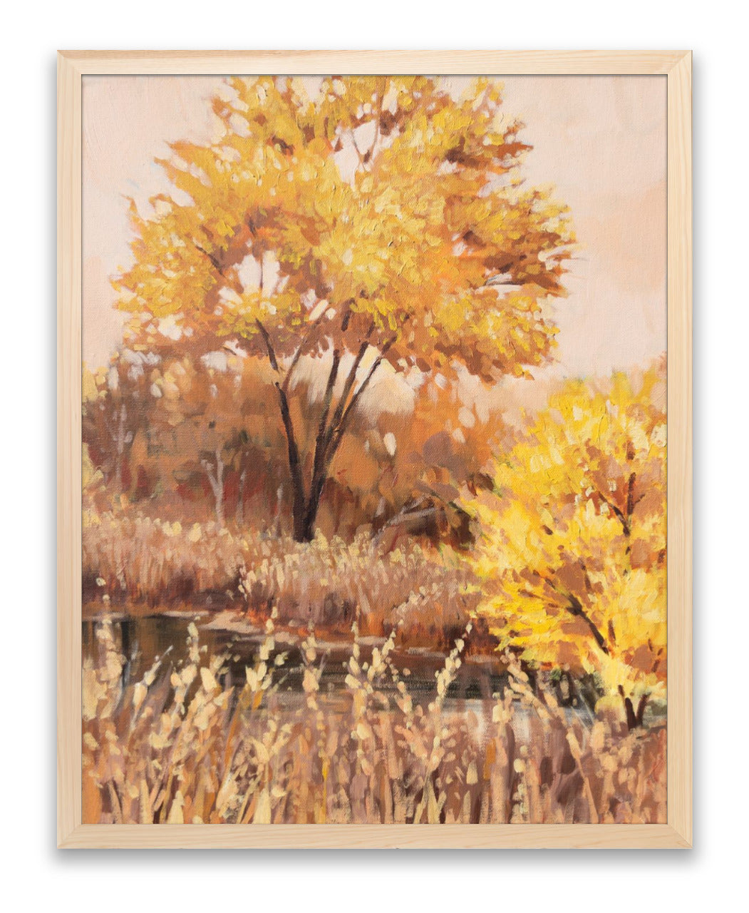Gold Rush - Canvas Print