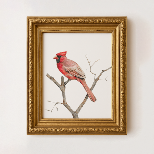Cardinal