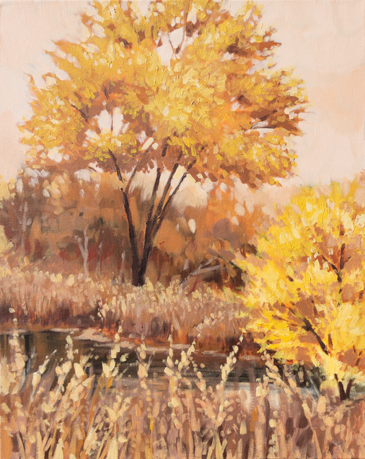 Gold Rush - Canvas Print